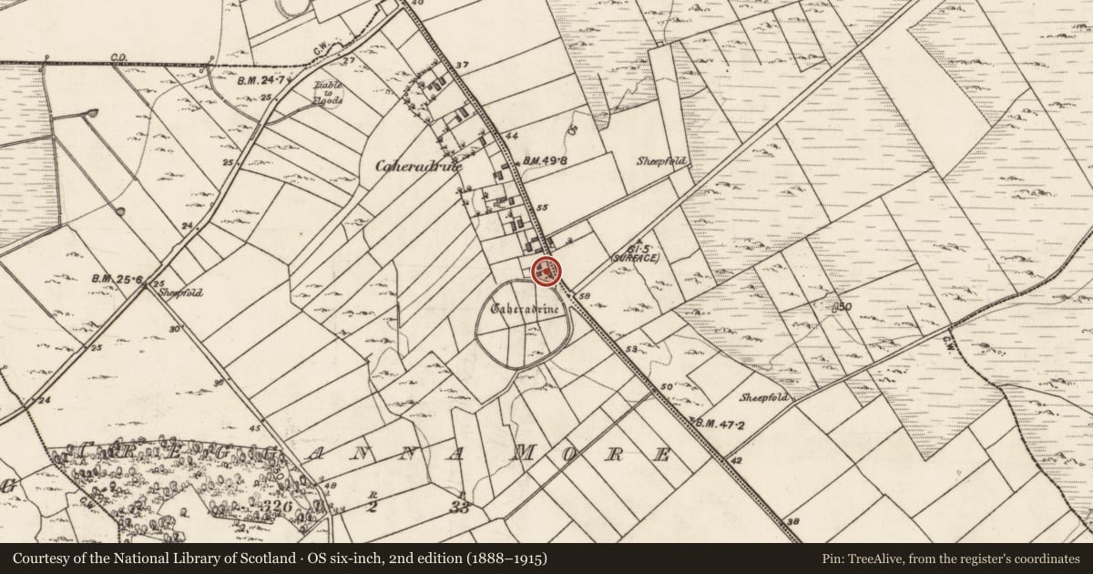 Ordnance Survey six-inch map, 2nd edition (1888–1915) covering the location of Cross, Cregganna More, County Galway, with a pin at the register's coordinates