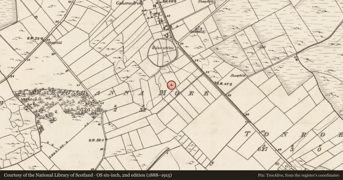 Ordnance Survey six-inch map, 2nd edition (1888–1915) covering the location of House - indeterminate date, Cregganna More, County Galway, with a pin at the register's coordinates