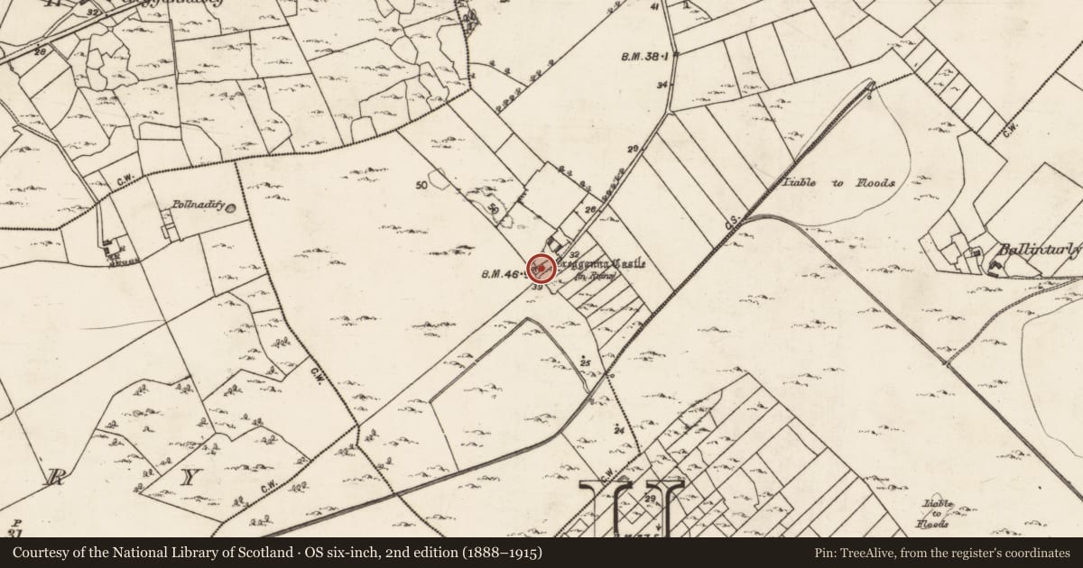 Ordnance Survey six-inch map, 2nd edition (1888–1915) covering the location of Castle - tower house, Cregganna More, County Galway, with a pin at the register's coordinates
