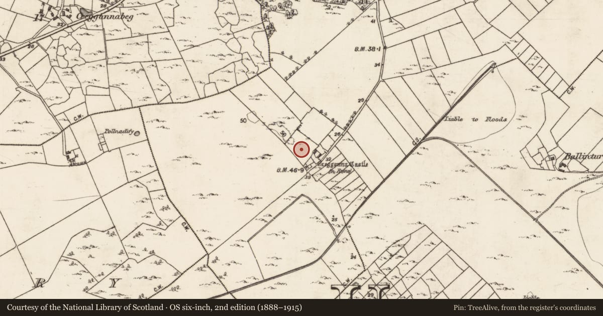 Ordnance Survey six-inch map, 2nd edition (1888–1915) covering the location of Bee-boles, Cregganna More, County Galway, with a pin at the register's coordinates