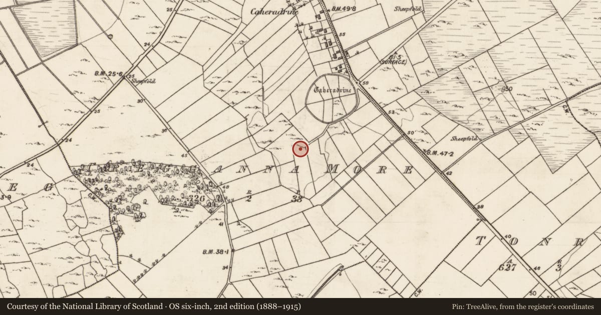 Ordnance Survey six-inch map, 2nd edition (1888–1915) covering the location of Burial, Cregganna More, County Galway, with a pin at the register's coordinates