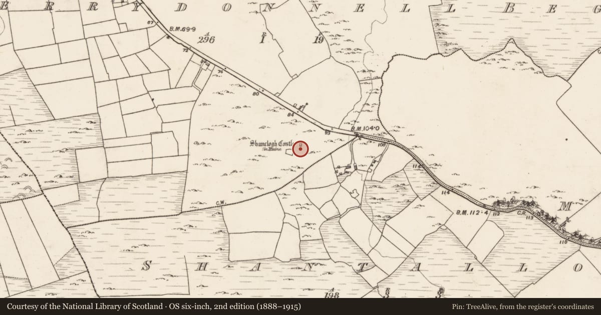 Ordnance Survey six-inch map, 2nd edition (1888–1915) covering the location of Castle - tower house, Derrydonnell Beg, County Galway, with a pin at the register's coordinates