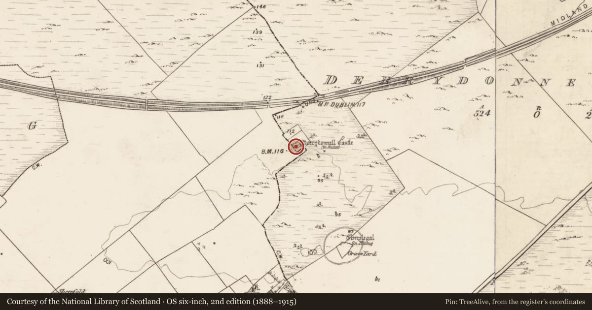 Ordnance Survey six-inch map, 2nd edition (1888–1915) covering the location of Castle - tower house, Derrydonnell More, Moyveela, County Galway, with a pin at the register's coordinates