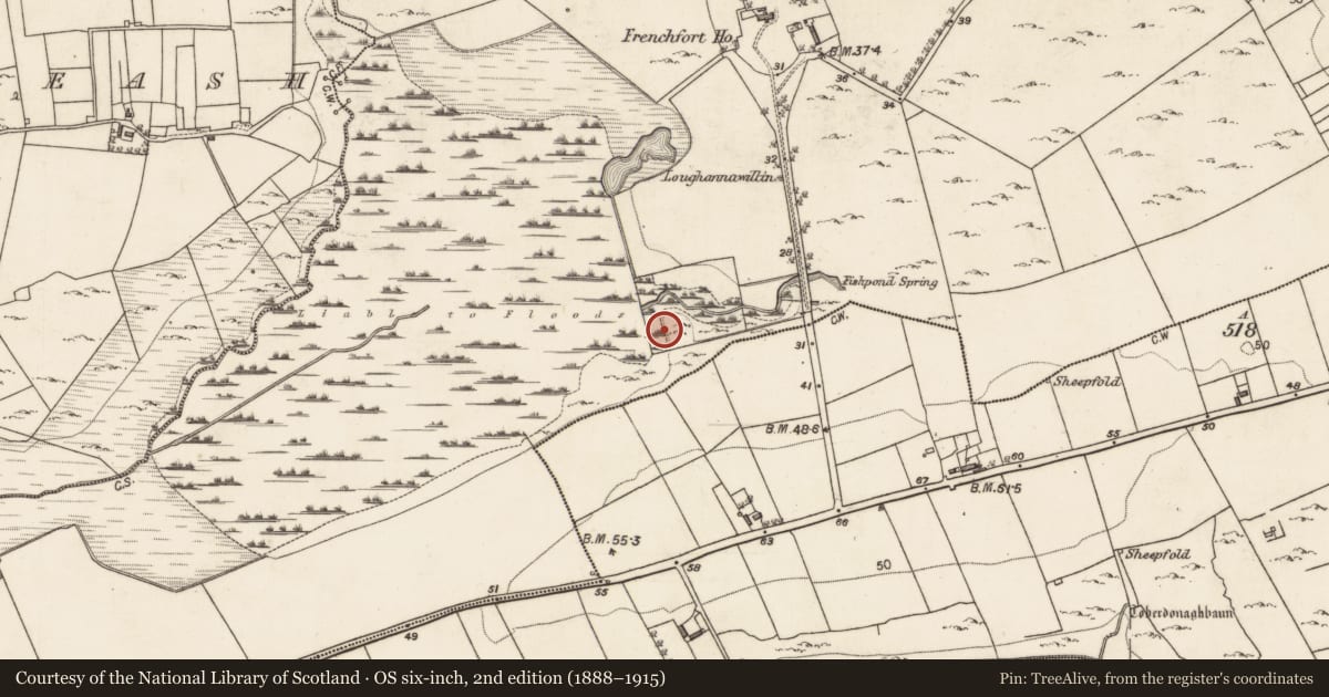 Ordnance Survey six-inch map, 2nd edition (1888–1915) covering the location of Enclosure, Frenchfort, County Galway, with a pin at the register's coordinates