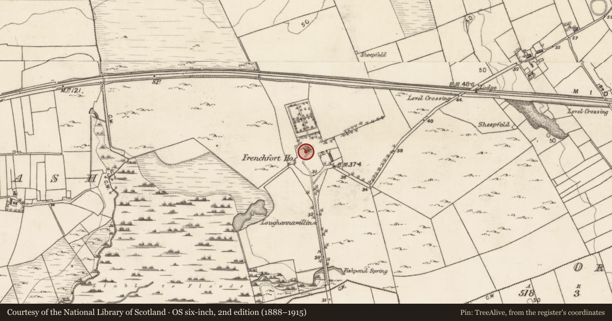 Ordnance Survey six-inch map, 2nd edition (1888–1915) covering the location of Country house, Frenchfort, County Galway, with a pin at the register's coordinates