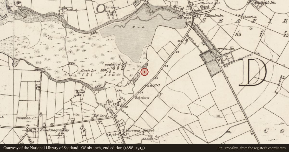 Ordnance Survey six-inch map, 2nd edition (1888–1915) covering the location of Burial mound, Garraun Lower, County Galway, with a pin at the register's coordinates