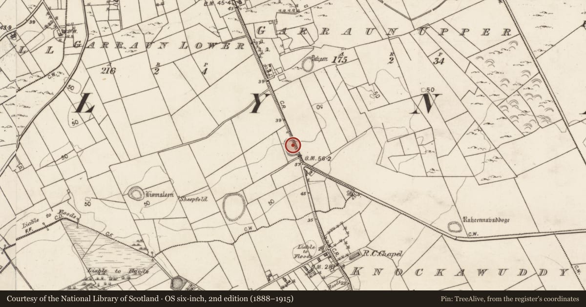 Ordnance Survey six-inch map, 2nd edition (1888–1915) covering the location of Ringfort - rath, Garraun Lower, Garraun Upper, County Galway, with a pin at the register's coordinates