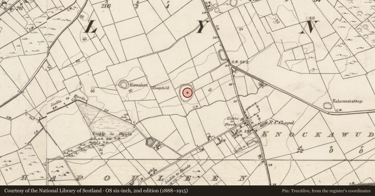 Ordnance Survey six-inch map, 2nd edition (1888–1915) covering the location of Ringfort - rath, Garraun Lower, County Galway, with a pin at the register's coordinates