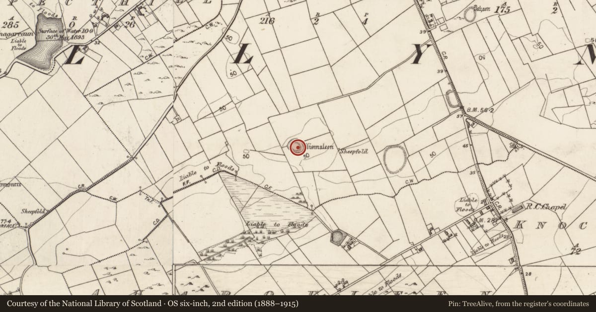 Ordnance Survey six-inch map, 2nd edition (1888–1915) covering the location of Ringfort - rath, Garraun Lower, County Galway, with a pin at the register's coordinates