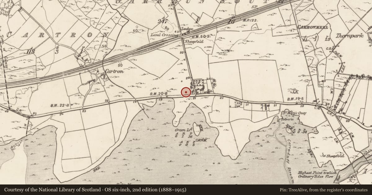 Ordnance Survey six-inch map, 2nd edition (1888–1915) covering the location of Megalithic structure, Garraun South, County Galway, with a pin at the register's coordinates