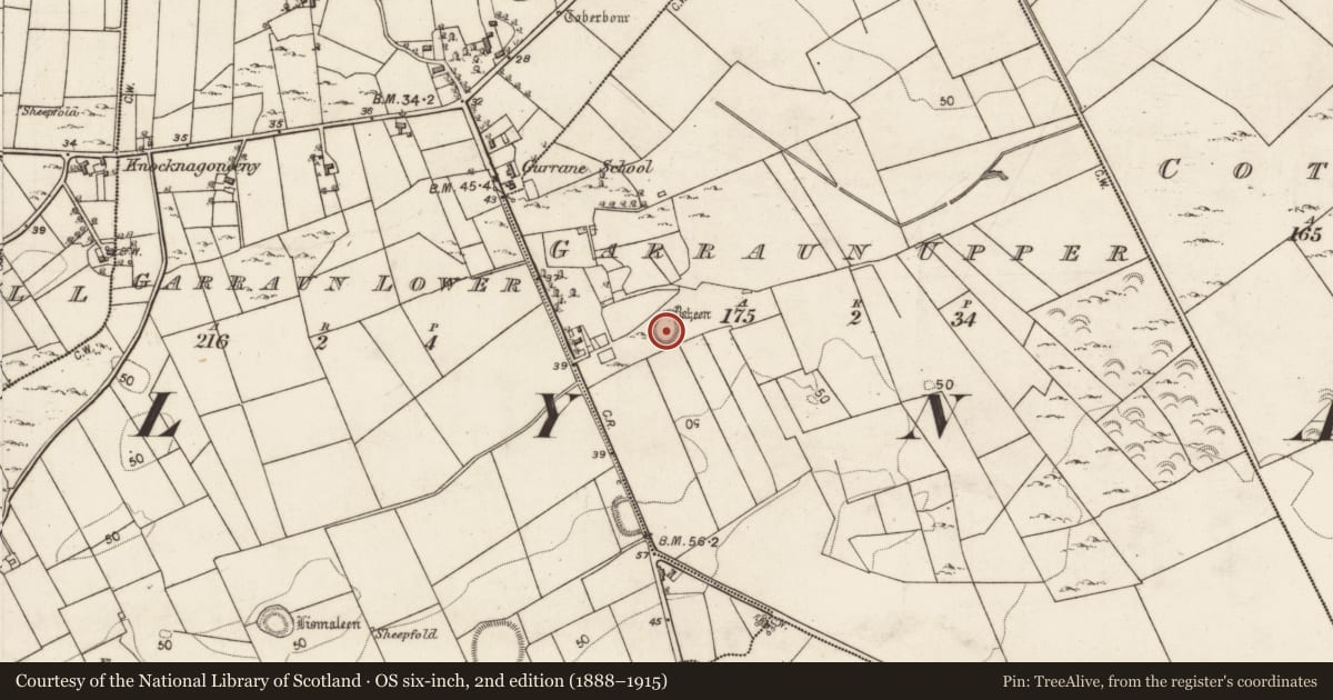 Ordnance Survey six-inch map, 2nd edition (1888–1915) covering the location of Souterrain, Garraun Upper, County Galway, with a pin at the register's coordinates