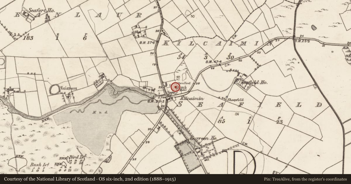 Ordnance Survey six-inch map, 2nd edition (1888–1915) covering the location of Graveyard, Kilcaimin, County Galway, with a pin at the register's coordinates