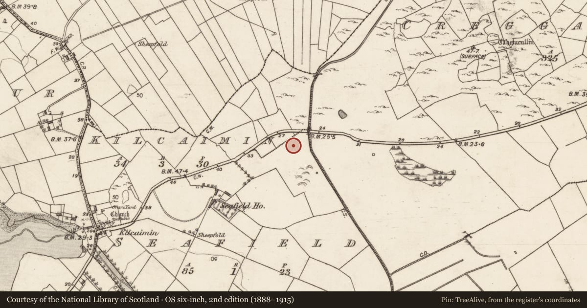 Ordnance Survey six-inch map, 2nd edition (1888–1915) covering the location of Enclosure, Kilcaimin, Seafield, County Galway, with a pin at the register's coordinates