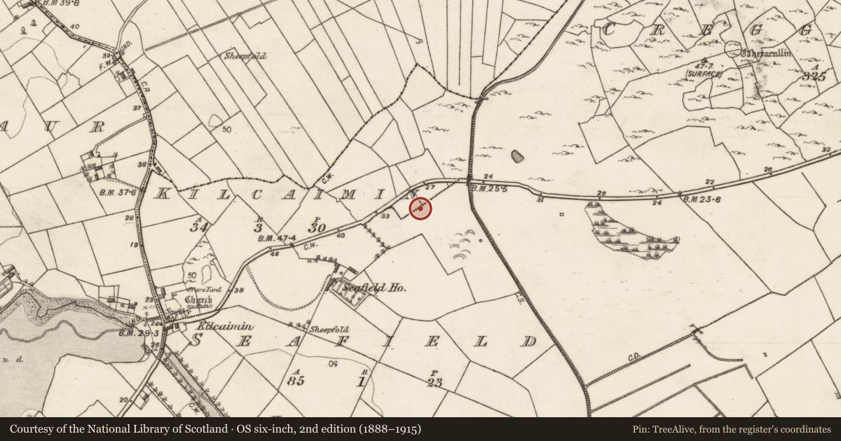 Ordnance Survey six-inch map, 2nd edition (1888–1915) covering the location of Castle - unclassified, Kilcaimin, Seafield, County Galway, with a pin at the register's coordinates