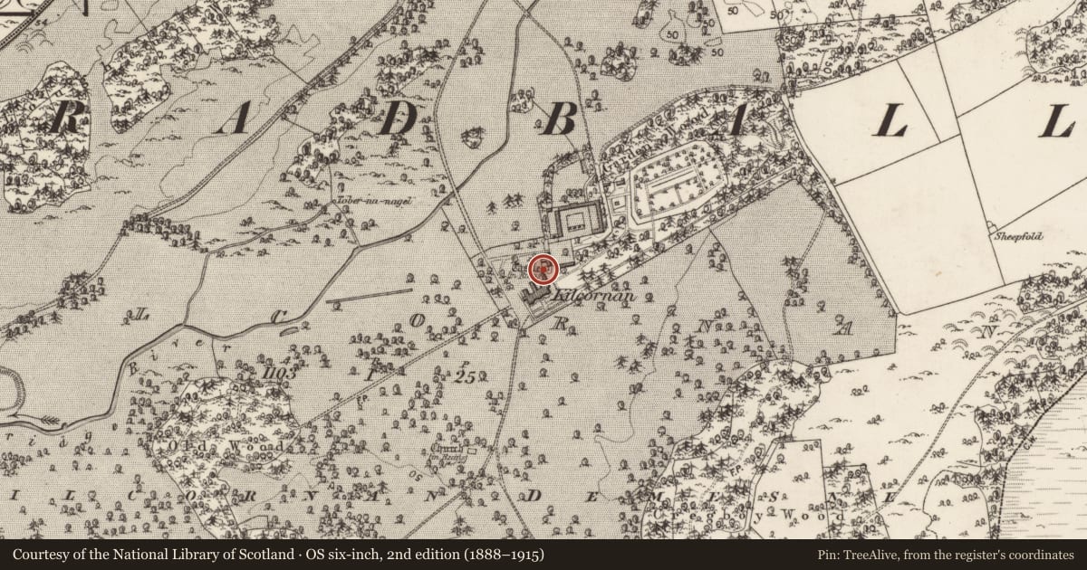 Ordnance Survey six-inch map, 2nd edition (1888–1915) covering the location of Castle - tower house, Kilcornan, County Galway, with a pin at the register's coordinates