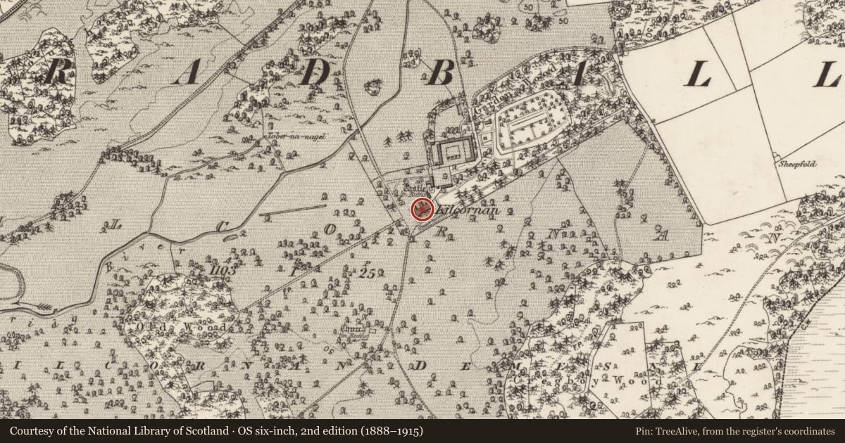 Ordnance Survey six-inch map, 2nd edition (1888–1915) covering the location of House - 18th/19th century, Kilcornan, County Galway, with a pin at the register's coordinates