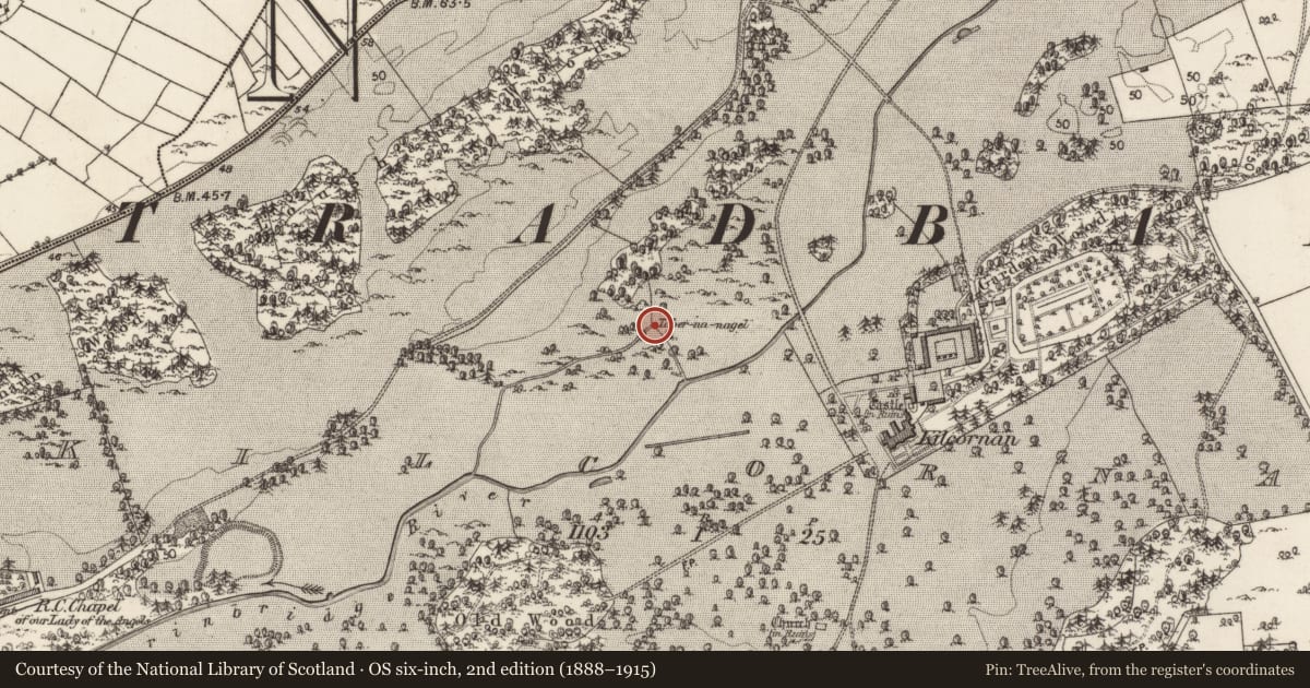 Ordnance Survey six-inch map, 2nd edition (1888–1915) covering the location of Well, Kilcornan, County Galway, with a pin at the register's coordinates