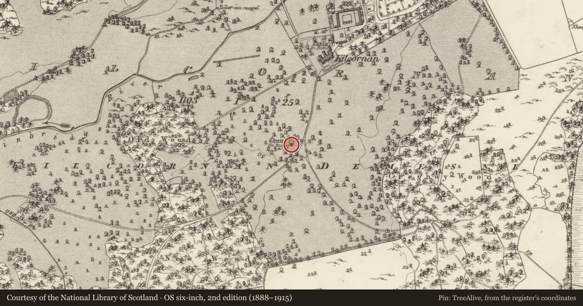 Ordnance Survey six-inch map, 2nd edition (1888–1915) covering the location of Graveyard, Kilcornan, County Galway, with a pin at the register's coordinates