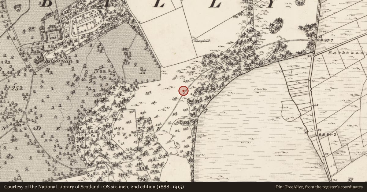 Ordnance Survey six-inch map, 2nd edition (1888–1915) covering the location of Ecclesiastical enclosure, Kilcornan, County Galway, with a pin at the register's coordinates