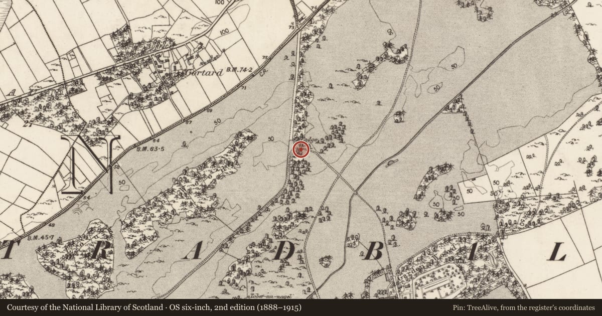 Ordnance Survey six-inch map, 2nd edition (1888–1915) covering the location of Flat cemetery, Kilcornan, County Galway, with a pin at the register's coordinates