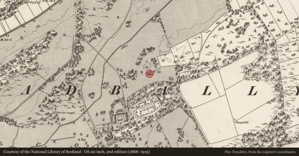 Ordnance Survey six-inch map, 2nd edition (1888–1915) covering the location of Designed landscape feature, Kilcornan, County Galway, with a pin at the register's coordinates