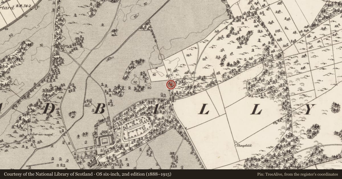 Ordnance Survey six-inch map, 2nd edition (1888–1915) covering the location of Designed landscape feature, Kilcornan, County Galway, with a pin at the register's coordinates