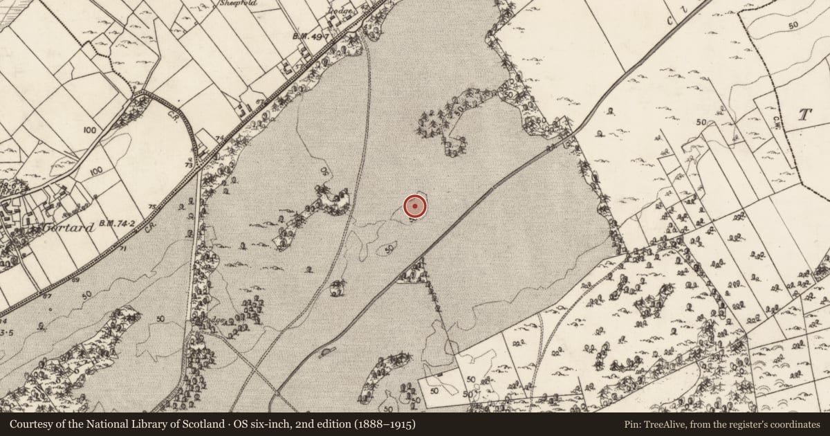 Ordnance Survey six-inch map, 2nd edition (1888–1915) covering the location of Quarry, Kilcornan, County Galway, with a pin at the register's coordinates