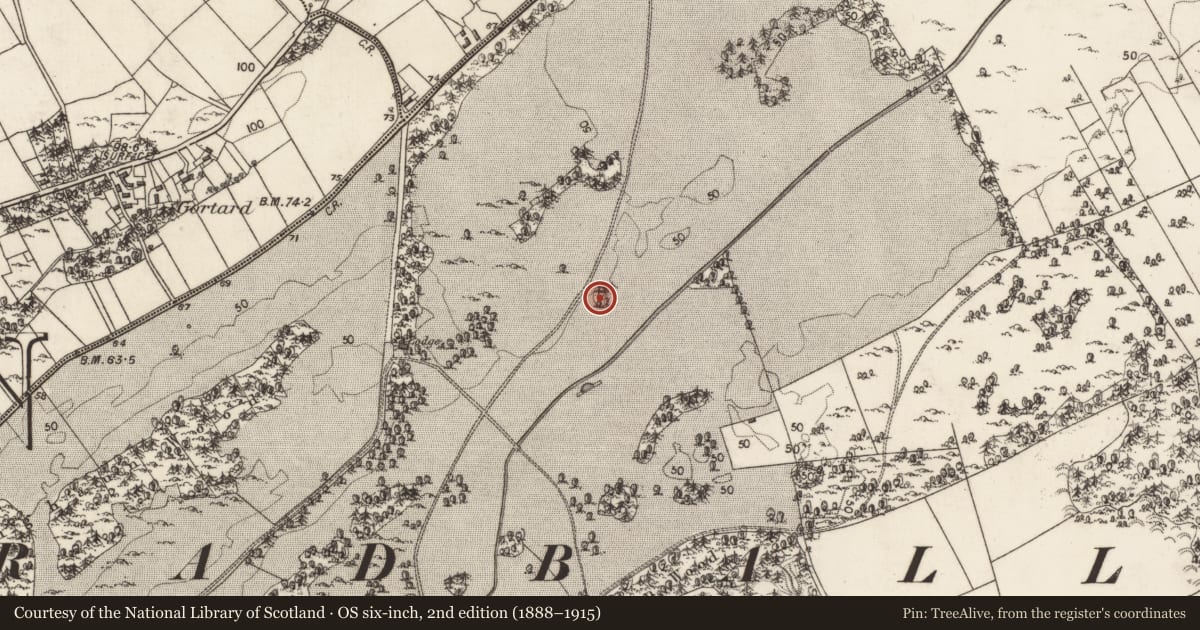 Ordnance Survey six-inch map, 2nd edition (1888–1915) covering the location of Designed landscape - tree-ring, Kilcornan, County Galway, with a pin at the register's coordinates