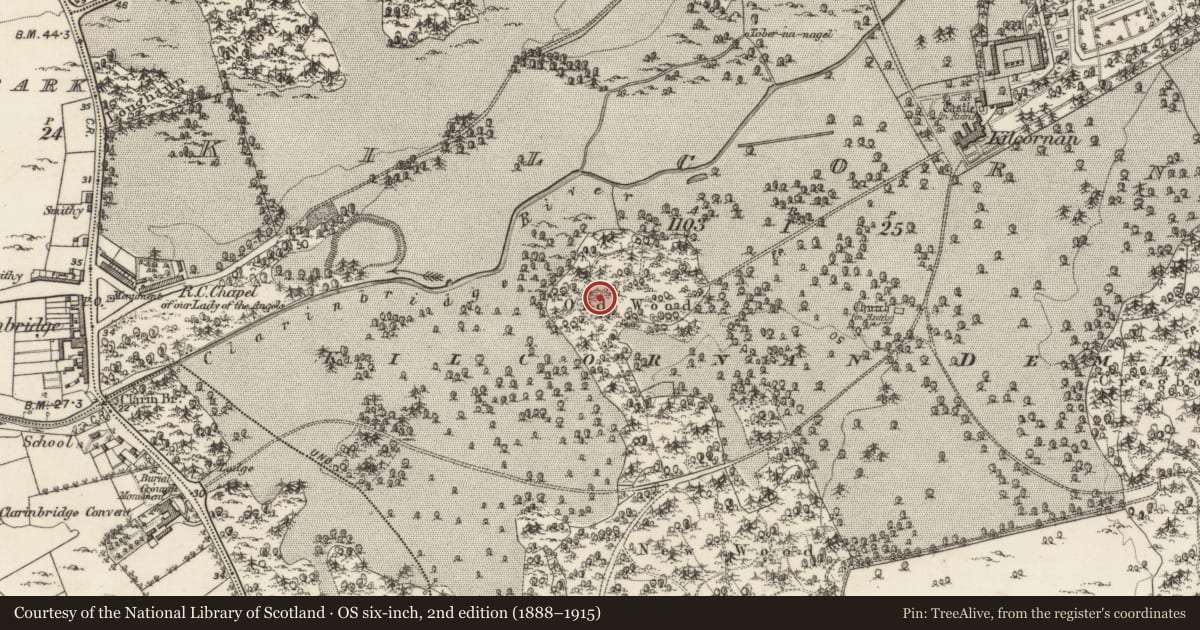 Ordnance Survey six-inch map, 2nd edition (1888–1915) covering the location of Monumental structure, Kilcornan, County Galway, with a pin at the register's coordinates