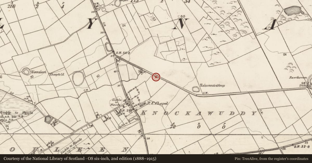 Ordnance Survey six-inch map, 2nd edition (1888–1915) covering the location of Castle - unclassified, Knockawuddy, County Galway, with a pin at the register's coordinates