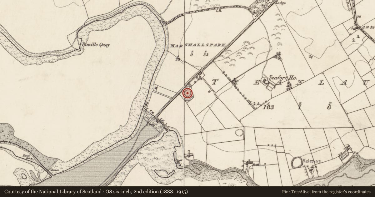 Ordnance Survey six-inch map, 2nd edition (1888–1915) covering the location of Ringfort - rath, Marshallspark, Treanlaur, County Galway, with a pin at the register's coordinates