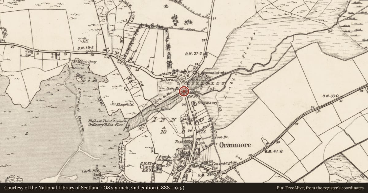 Ordnance Survey six-inch map, 2nd edition (1888–1915) covering the location of Mill - corn, Millplot, County Galway, with a pin at the register's coordinates