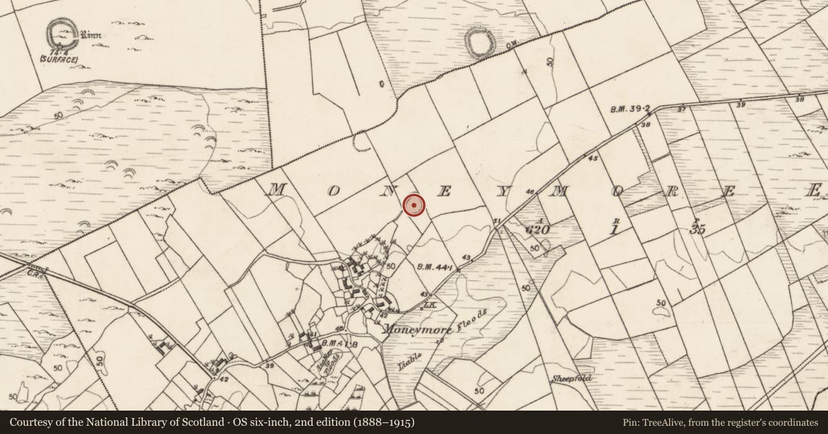 Ordnance Survey six-inch map, 2nd edition (1888–1915) covering the location of Ringfort - rath, Moneymore East, County Galway, with a pin at the register's coordinates