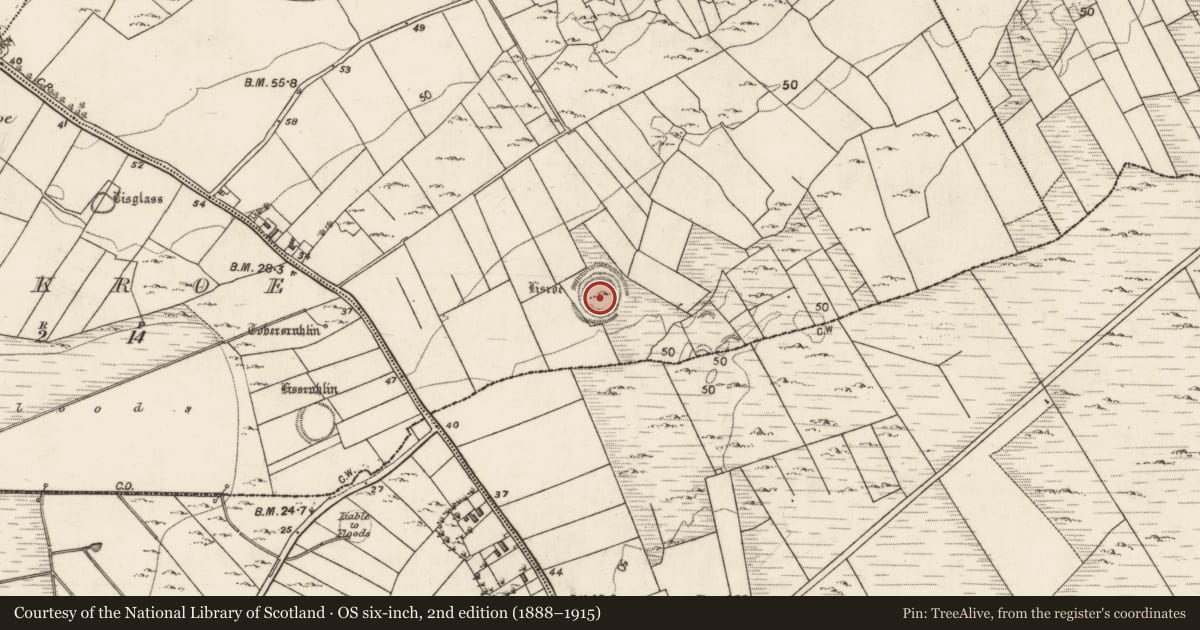 Ordnance Survey six-inch map, 2nd edition (1888–1915) covering the location of House - indeterminate date, Moneymore West, County Galway, with a pin at the register's coordinates
