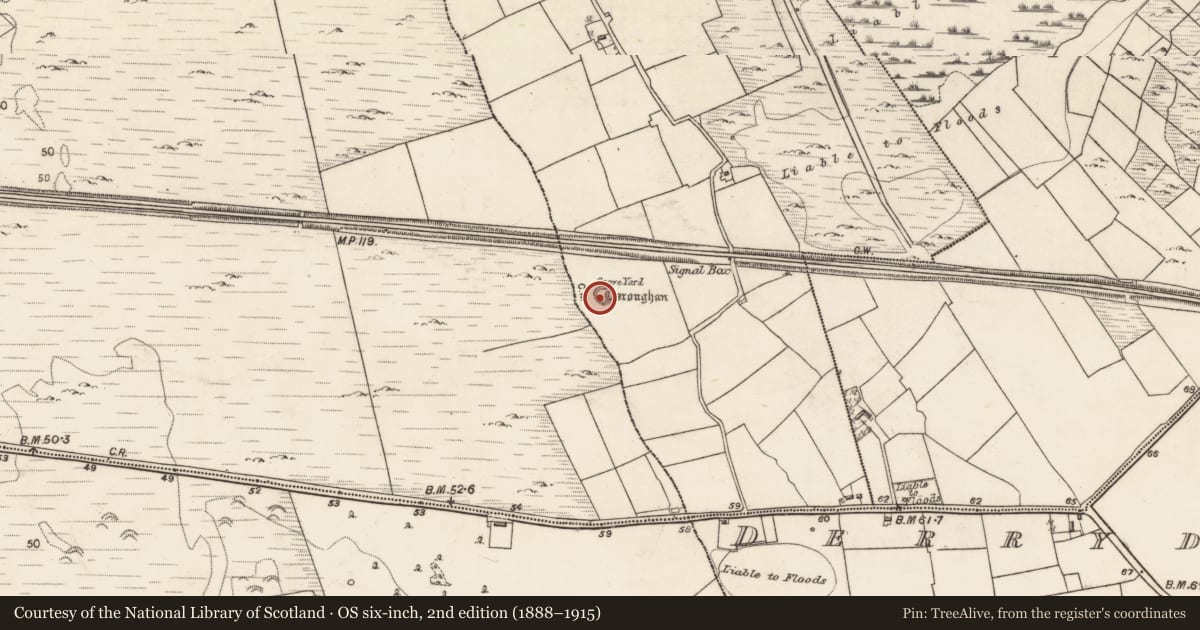 Ordnance Survey six-inch map, 2nd edition (1888–1915) covering the location of Children's burial ground, Mountain West, County Galway, with a pin at the register's coordinates