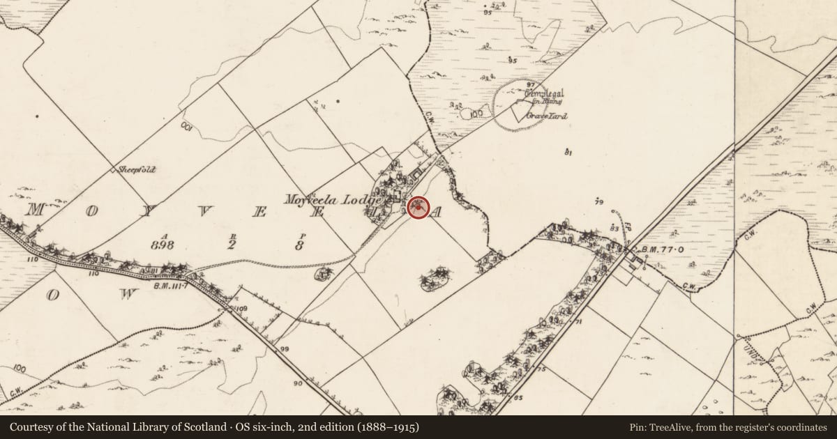 Ordnance Survey six-inch map, 2nd edition (1888–1915) covering the location of Well, Moyveela, County Galway, with a pin at the register's coordinates