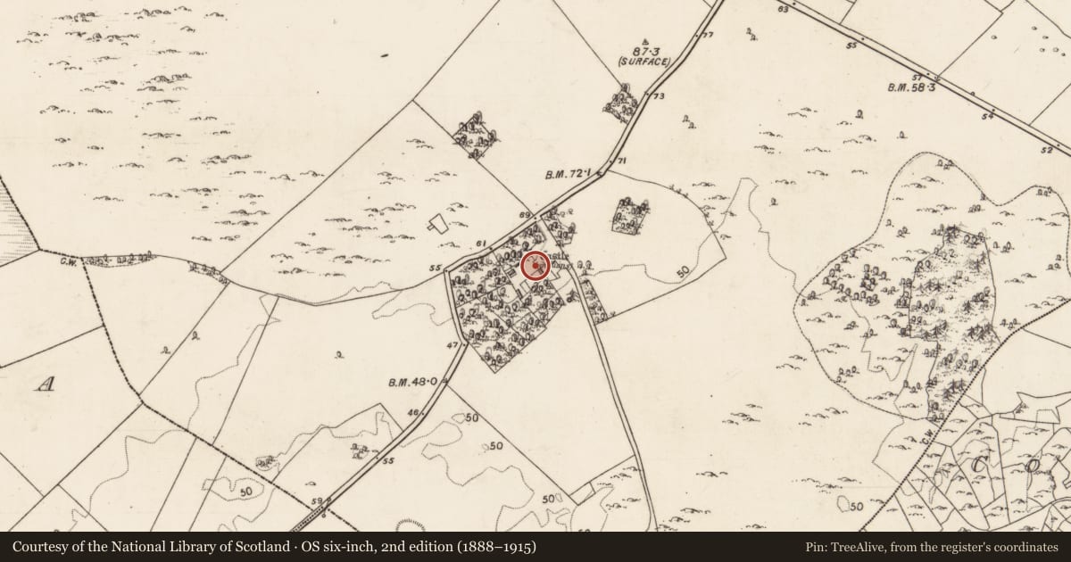 Ordnance Survey six-inch map, 2nd edition (1888–1915) covering the location of Castle - tower house, Moyveela, County Galway, with a pin at the register's coordinates