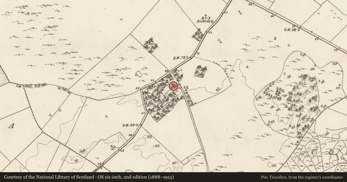 Ordnance Survey six-inch map, 2nd edition (1888–1915) covering the location of Bawn, Moyveela, County Galway, with a pin at the register's coordinates