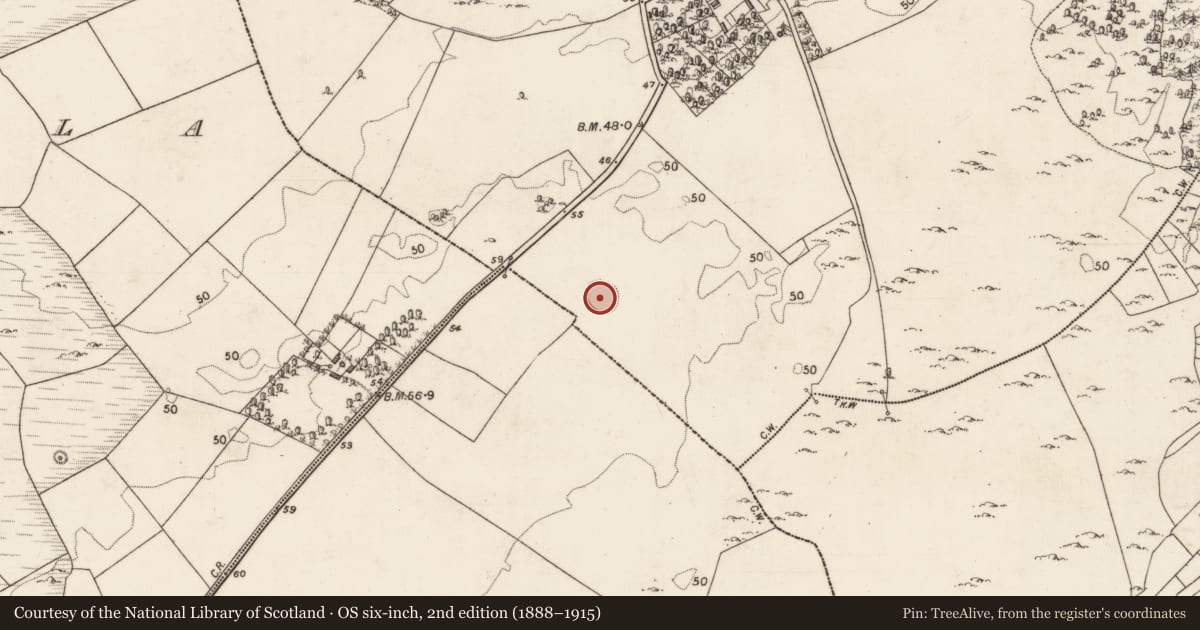 Ordnance Survey six-inch map, 2nd edition (1888–1915) covering the location of Ringfort - rath, Moyveela, County Galway, with a pin at the register's coordinates