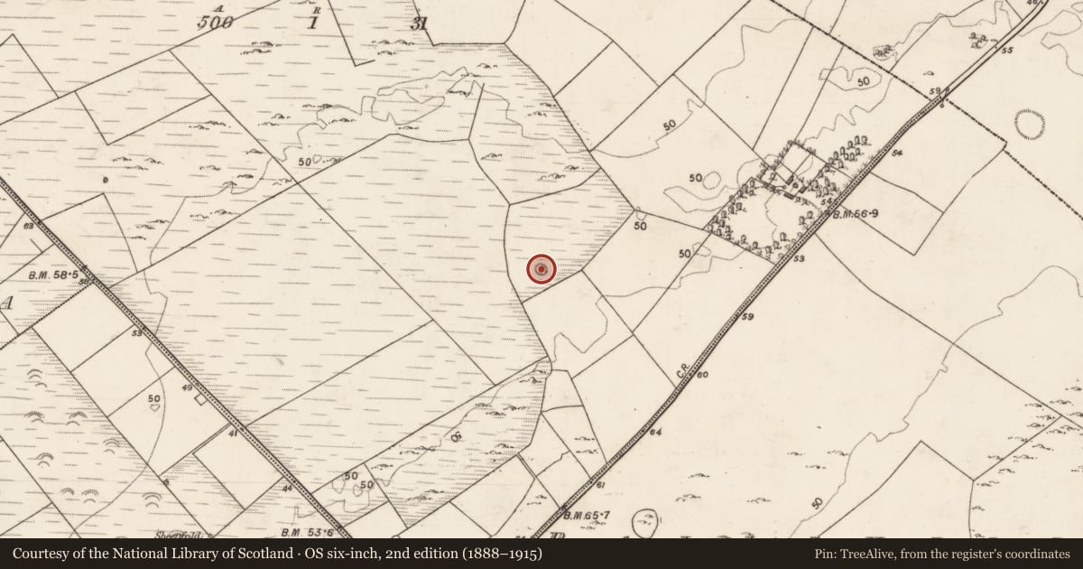 Ordnance Survey six-inch map, 2nd edition (1888–1915) covering the location of Barrow - ring-barrow, Moyveela, County Galway, with a pin at the register's coordinates
