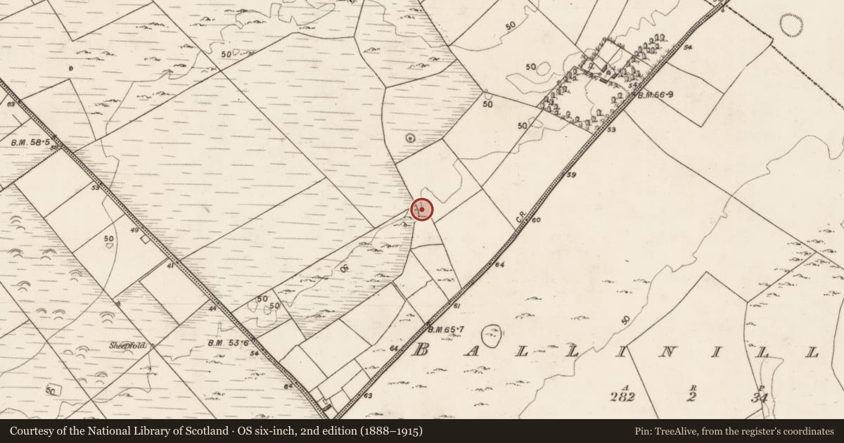 Ordnance Survey six-inch map, 2nd edition (1888–1915) covering the location of Ringfort - cashel, Moyveela, County Galway, with a pin at the register's coordinates