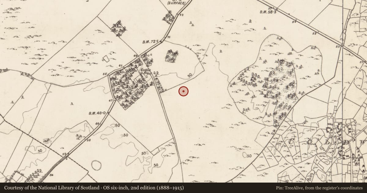 Ordnance Survey six-inch map, 2nd edition (1888–1915) covering the location of Mound, Moyveela, County Galway, with a pin at the register's coordinates