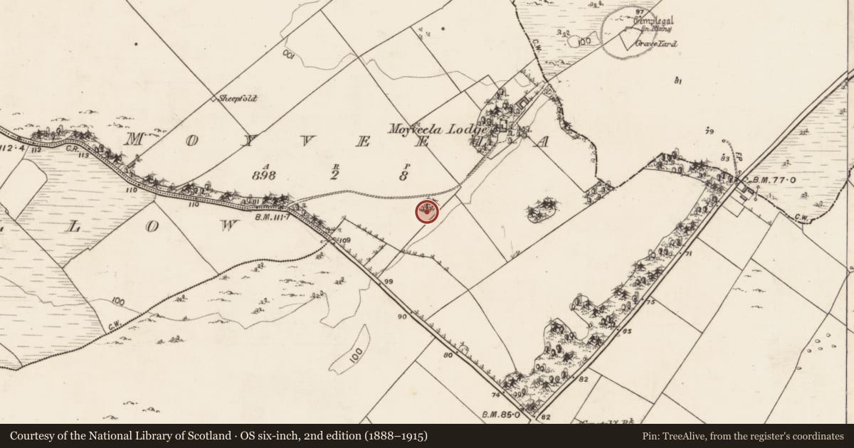Ordnance Survey six-inch map, 2nd edition (1888–1915) covering the location of Designed landscape - tree-ring, Moyveela, County Galway, with a pin at the register's coordinates