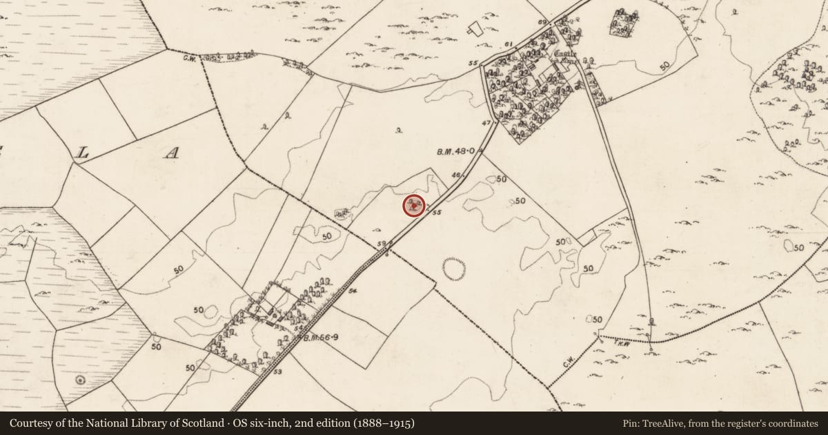Ordnance Survey six-inch map, 2nd edition (1888–1915) covering the location of Ringfort - cashel, Moyveela, County Galway, with a pin at the register's coordinates