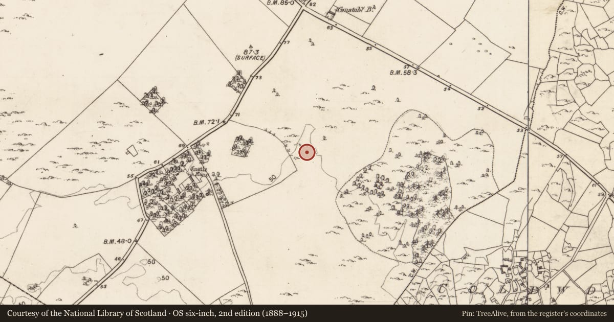 Ordnance Survey six-inch map, 2nd edition (1888–1915) covering the location of Ringfort - cashel, Moyveela, County Galway, with a pin at the register's coordinates