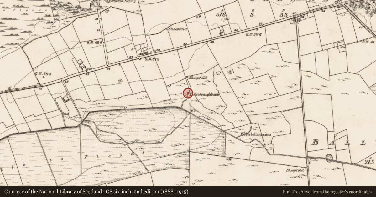 Ordnance Survey six-inch map, 2nd edition (1888–1915) covering the location of Ritual site - holy well, Oran Beg, County Galway, with a pin at the register's coordinates