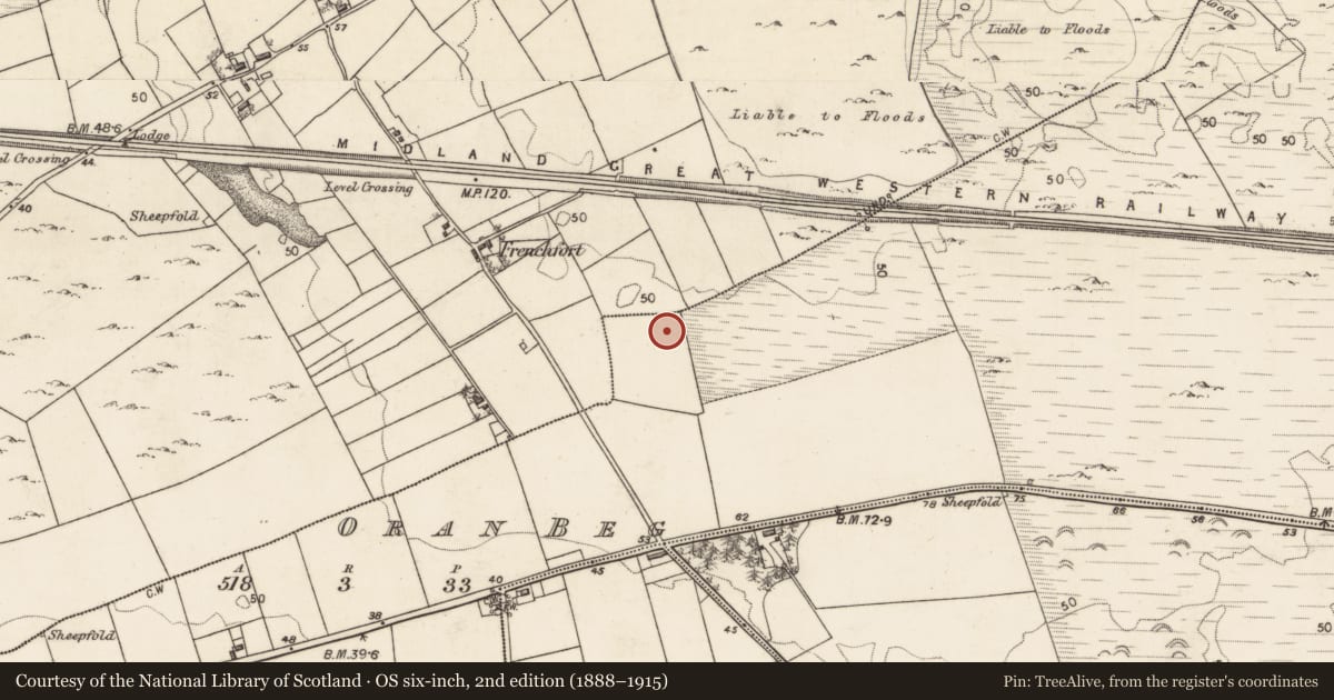 Ordnance Survey six-inch map, 2nd edition (1888–1915) covering the location of Enclosure, Oran Beg, County Galway, with a pin at the register's coordinates