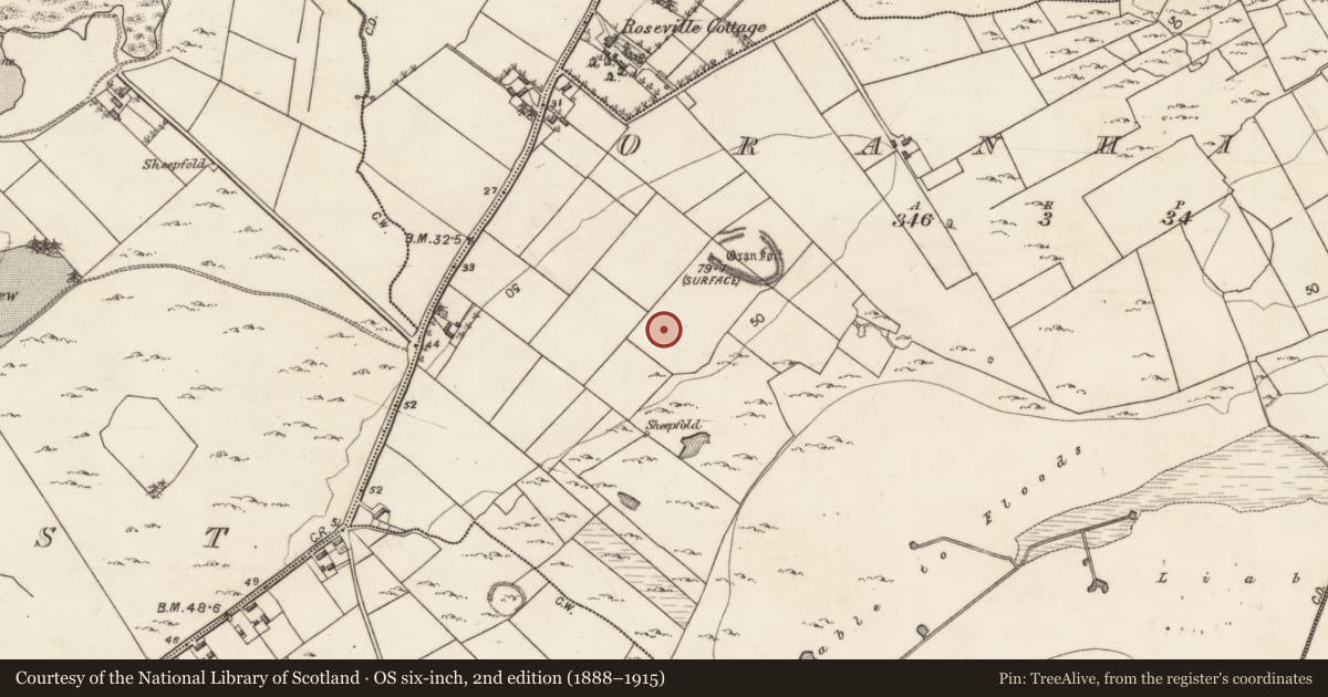 Ordnance Survey six-inch map, 2nd edition (1888–1915) covering the location of Souterrain, Oranhill, County Galway, with a pin at the register's coordinates