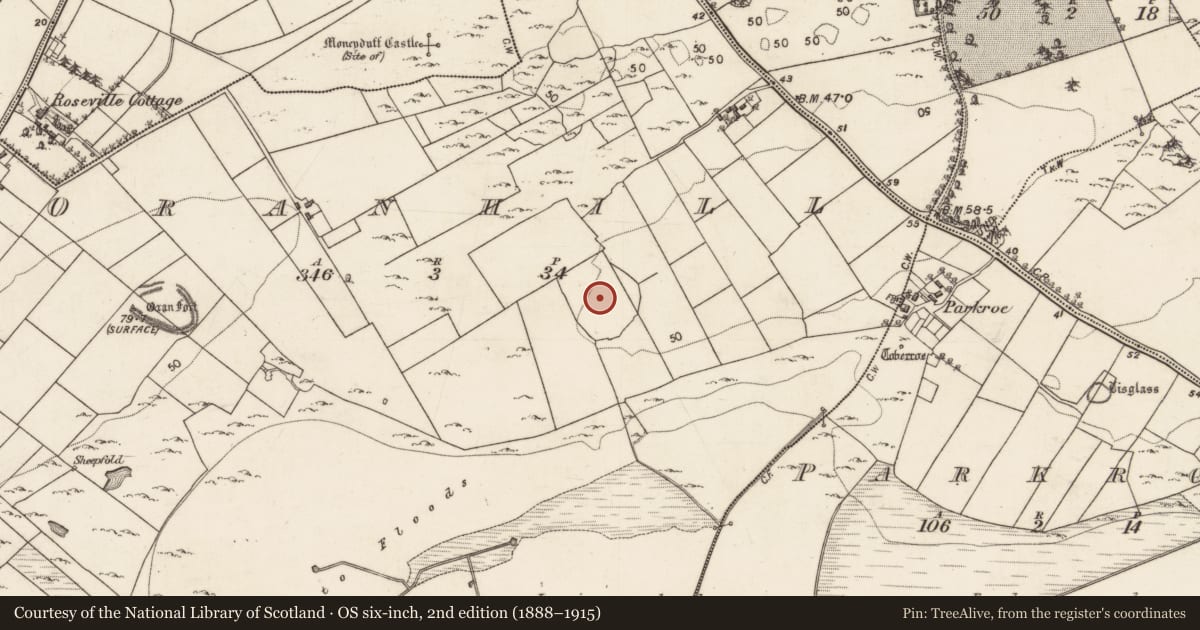 Ordnance Survey six-inch map, 2nd edition (1888–1915) covering the location of Enclosure - large enclosure, Oranhill, County Galway, with a pin at the register's coordinates