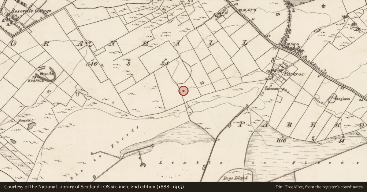 Ordnance Survey six-inch map, 2nd edition (1888–1915) covering the location of House - indeterminate date, Oranhill, County Galway, with a pin at the register's coordinates